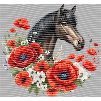 Animal Integration-DW 614